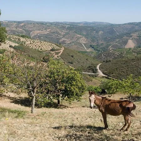 Solar Das Arcas Mirandela